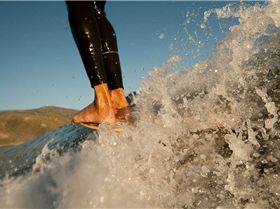 12316584 1019542534733506 5465206210756120231 n