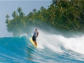 12565482 1043636542324105 9071558818039142475 n