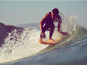 408259 481152585242630 1392784548 n