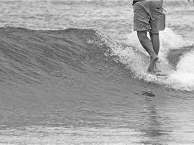 10435134 879546175403267 8850098446245654054 n