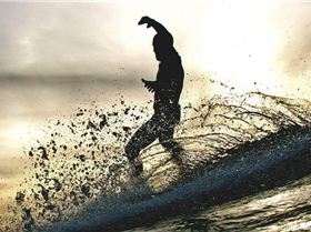 11401402 997865726904644 2795193239364805144 n