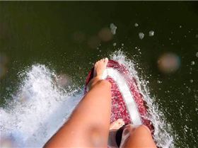 11165280 985352398155977 7412524140430330448 n