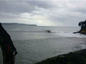 13393446 1161354747219708 1857043119 n