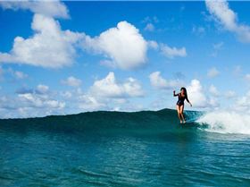 12373280 1028033860551040 4197103254480869633 n