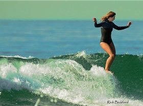 12507573 1036795769674849 3686012766931272045 n