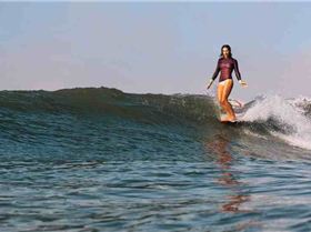 Karina LaVecchia SEEASP15 7