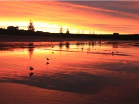 Screen Shot 2016-06-20 at 5.25.55 pm