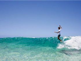 12794498 1062977193723373 3063613850024537565 n