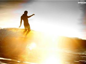 480601 452449611446261 316197787 n