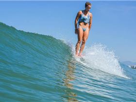 13339471 1121928941161531 5217757066429356820 n