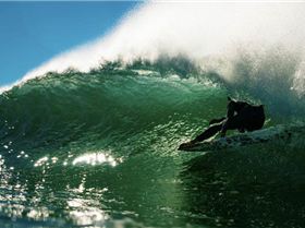 11139444 857074567680277 4989906763444516787 n