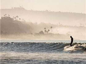 11226047 1150385194990033 7561016488625763119 n