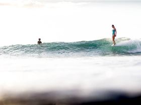 13315363 1123353127685779 3769669946448955723 n