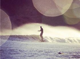 10256227 721986584522410 2942854353397438830 n