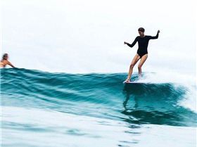 12647025 903138309740569 8254574156016538201 n