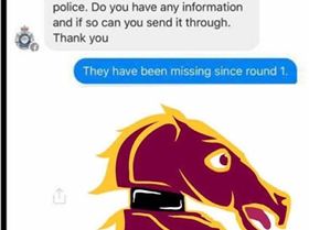 13876596 1023933387701920 4434592193571823104 n