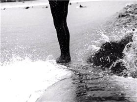 13062390 955632441157822 8489175386295669335 n