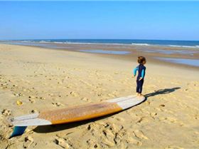 13924867 1016508195070246 4452896706637833669 n