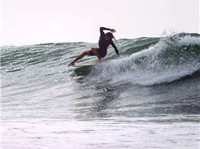 13886335 1014624471925285 6388280934580181055 n