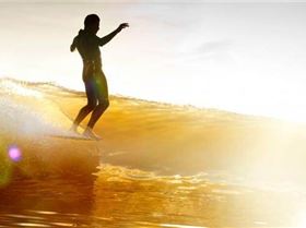 14045803 1225892607441563 7130882479143883828 n