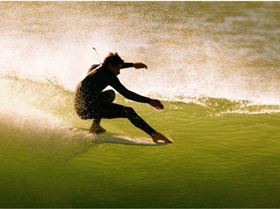 13886897 1011322498922149 3115463261033094855 n