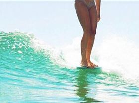 13627043 1189056684458489 1124787715340548205 n