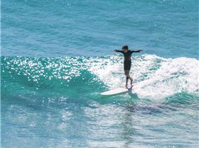 14079880 10210044969099082 5578387056759610841 n