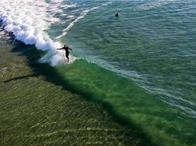 10340151 305424149620669 8939058235435560348 n