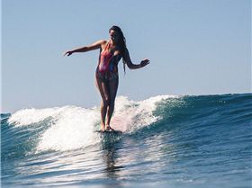 12647146 10153708881522911 4991975157678292086 n