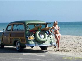 47c88c009c77d7eb80e748c7511485de