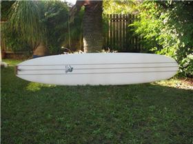 944485 10200498867327613 1620542458 n