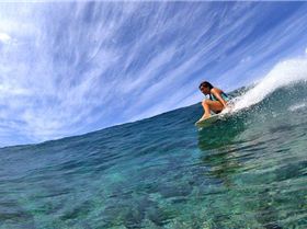 12798844 1059427444103477 5281314774312139409 n