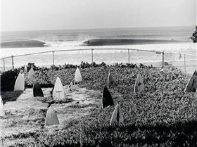 1005680 202113329951752 1566073132 n