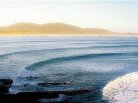 1934704 1080845378628350 5830194544559548990 n