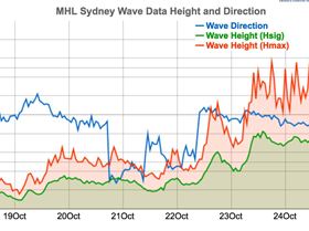 Screen Shot 2016-10-25 at 4.25.12 am