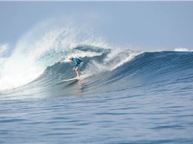 20160429scarcraws-DSC 3002