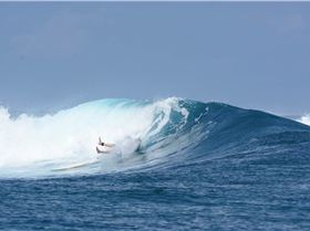 20160429scarcraws-DSC 3658