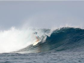 20160503Scarecrow- H5A2088