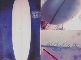 15055616 10211328874478008 1617127348317176680 n