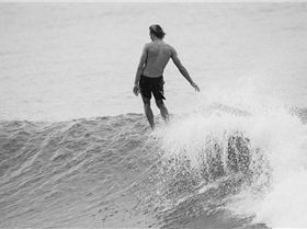 15027609 1101802869874111 6544827181123731584 n