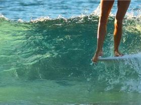 14642502 1081239145263817 7628449132400799713 n