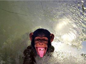 1070018 486881168053018 339014188 n