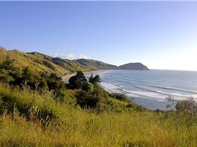 15493331 10154863635659312 2905483609828300508 o