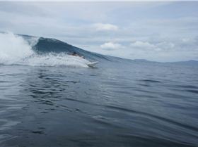 Screen Shot 2016-12-18 at 9.53.33 am