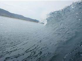 Screen Shot 2016-12-18 at 9.54.19 am