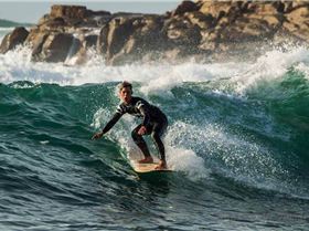 13124882 1714695655467664 6231995765167221785 n