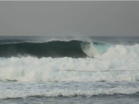 Screen Shot 2016-12-23 at 8.00.54 am