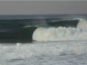 Screen Shot 2016-12-23 at 8.01.11 am