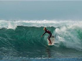 13102606 1714699585467271 39136605334534383 n