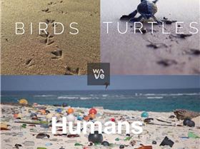 15741133 1356304447733711 3349168577368278508 n